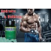 Why online pharmacies are considered as the best place to buy Androlic?