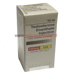 TESTOSTERONE ENANTHATE INJECTION 10ml 250mg/ml (Genesis)