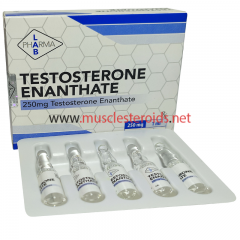 Testosterone Enanthate 10amp 250mg/amp (PharmaLab)