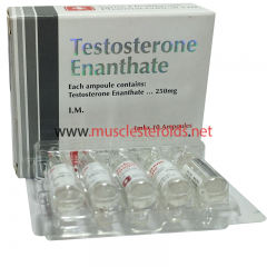 Testosterone Enanthate 10amp 250mg/ml (Swiss Healthcare Pharmaceuticals)