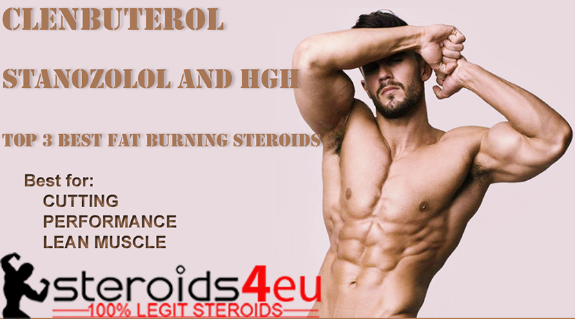 Clenbuterol Stanozolol and HGH Top 3 Best Fat Burning Steroids