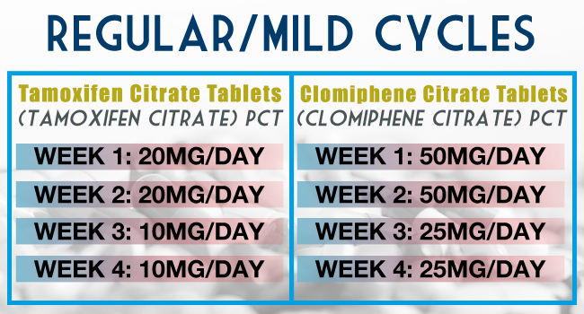 Clomid and Nolvadex for Post Cycle Therapy