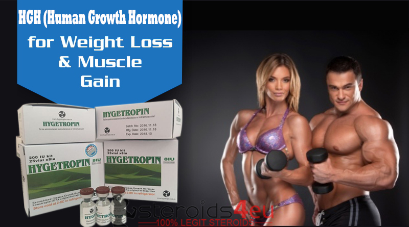 HGH for Weight Loss and Muscle Gain