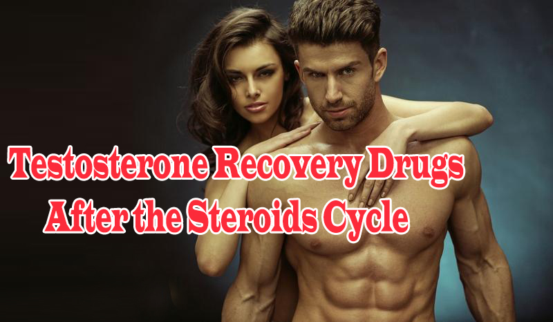 Testosterone Recovery Drugs After the Steroids Cycle