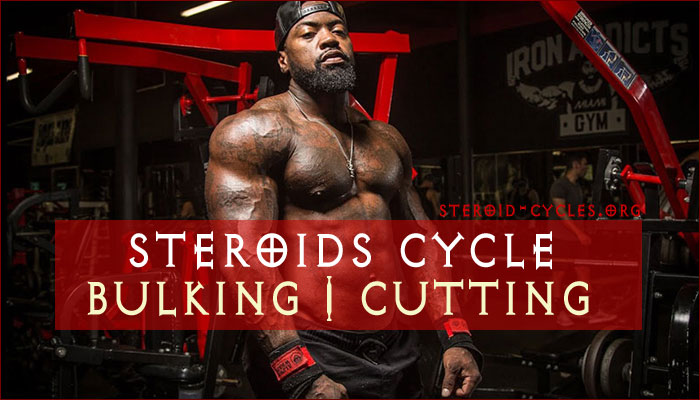 most suitable anabolic steroids cycle