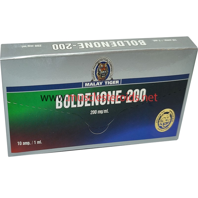 BOLDENONE 200 10amp MALAY TIGER